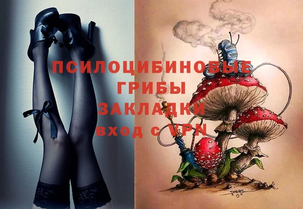 МДПВ Краснослободск